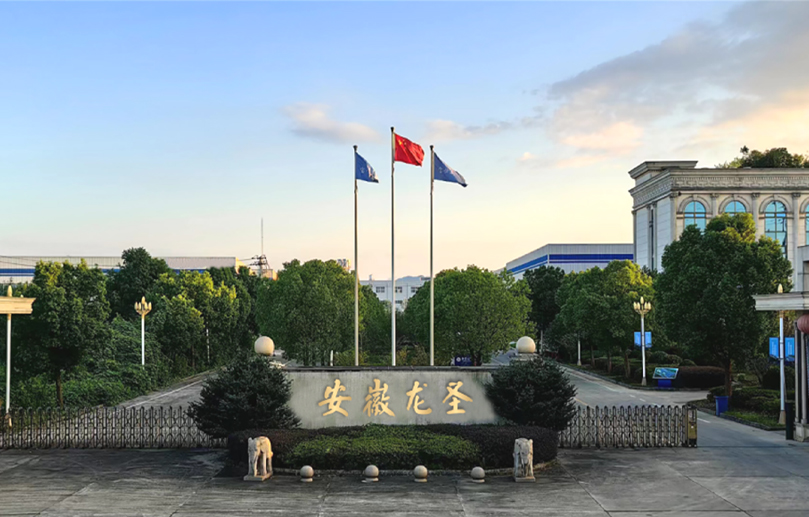 شرکت فناوری جدید Anhui Longsheng ، Ltd.